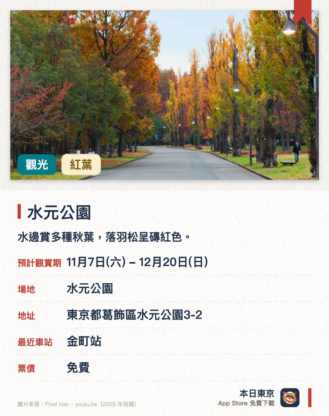 水元公園。11月8日–12月20日 · 水元公園。水邊賞多種秋葉，落羽松呈磚紅色。。園內最寬闊的水鄉公園。