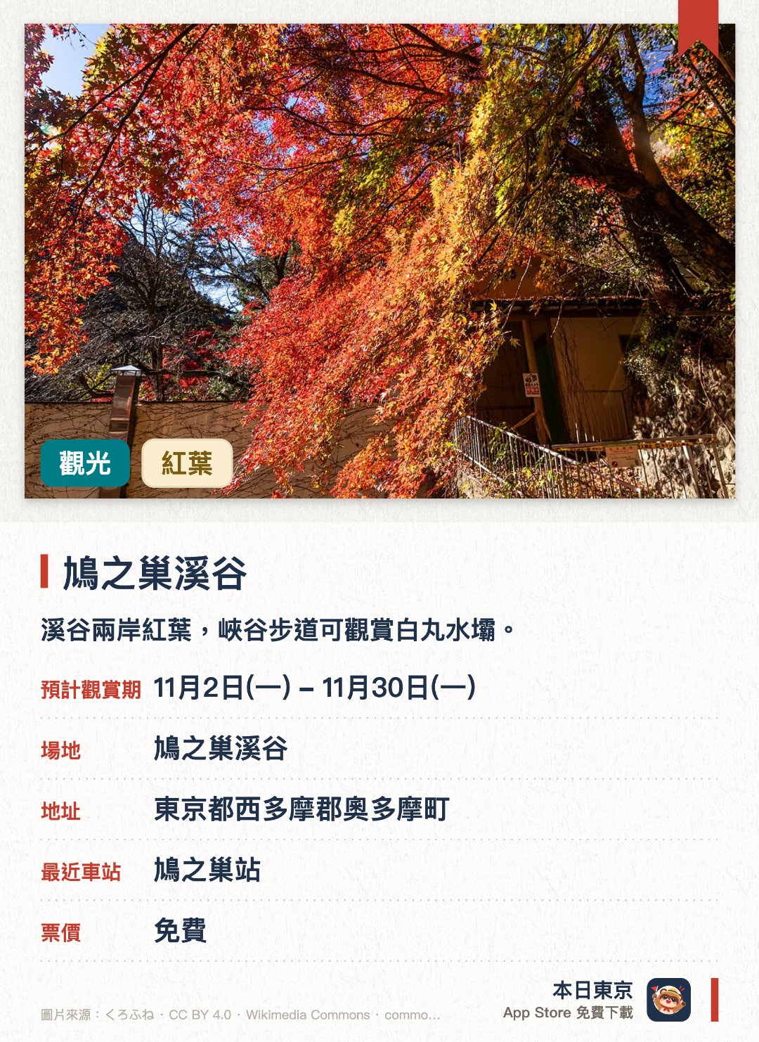 鳩之巢溪谷。11月3日–11月30日 · 鳩之巢溪谷。溪谷兩岸紅葉，峽谷步道可觀賞白丸水壩。。魚道開放日期需確認。