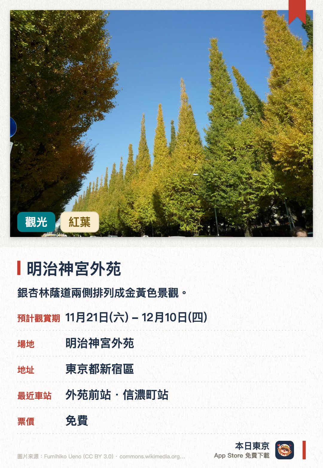 明治神宮外苑。11月21日–12月10日 · 明治神宮外苑。銀杏林蔭道兩側排列成金黃色景觀。。約三百米長；遠近感突出，背景為聖德紀念繪畫館。