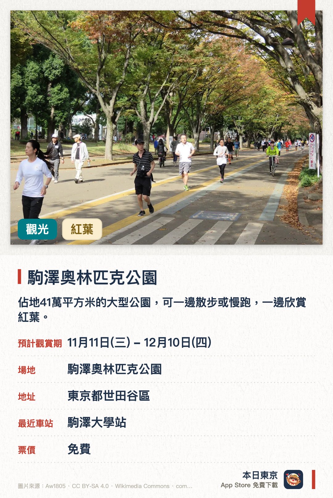 駒澤奧林匹克公園。11月11日–12月10日 · 駒澤奧林匹克公園。佔地41萬平方米的大型公園，可一邊散步或慢跑，一邊欣賞紅葉。櫻花樹及銀杏11月中旬至12月上旬最美