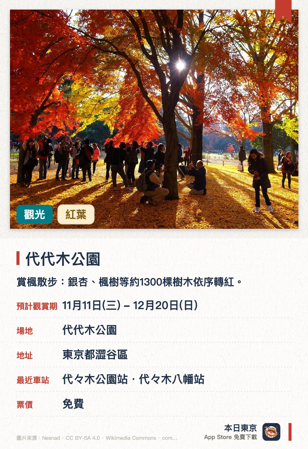 代代木公園。11月11日–12月20日 · 代代木公園。賞楓散步：銀杏、楓樹等約1300棵樹木依序轉紅。。原宿門附近銀杏林與紅楓形成對比；落葉鋪地可踩踏。