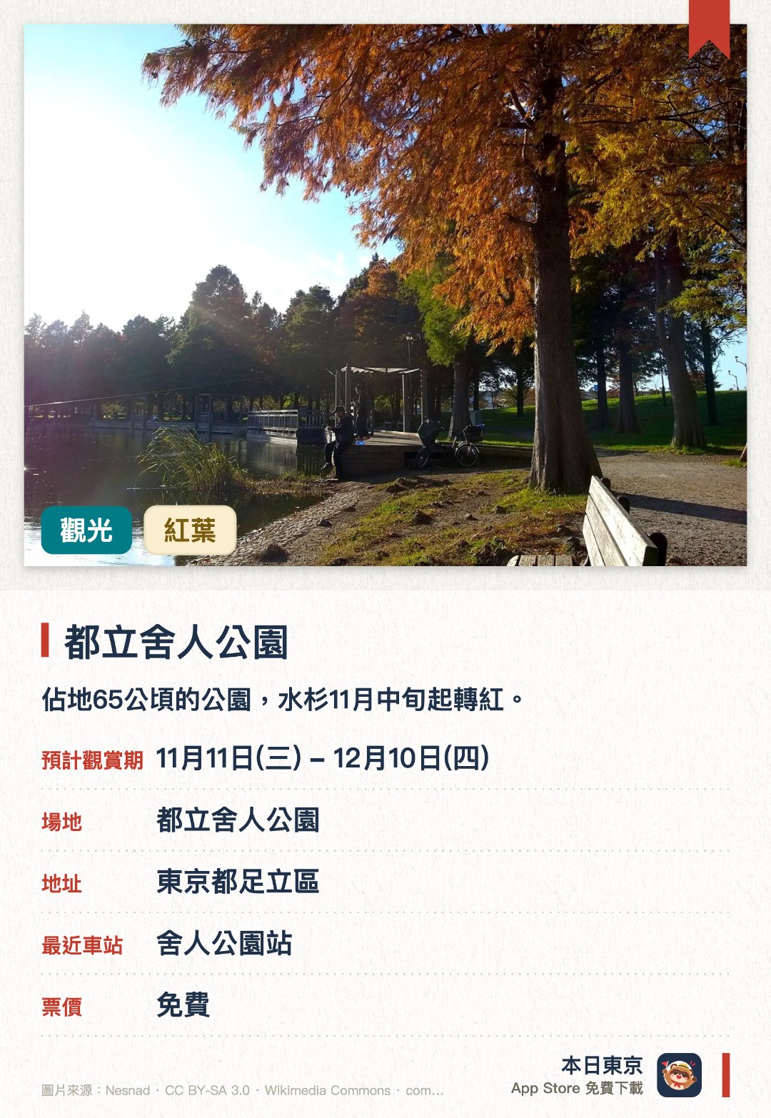 都立舍人公園。11月11日–12月10日 · 都立舍人公園。佔地65公頃的公園，水杉11月中旬起轉紅。標高17.5米的朝日廣場有360度景觀，天晴可遠眺晴空塔及富士山